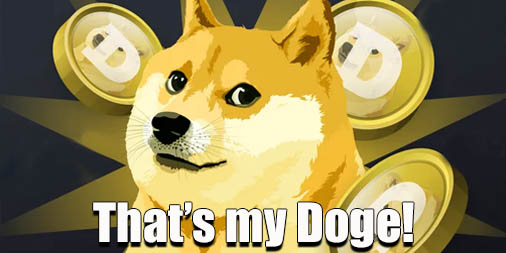 TheHodlLife's tweet photo. @doge1moon_CEO Nope, I have an unconditional love for my dog and vice versa. He may have ups and downs but we're in it together. #Dogecoin #Doge #ThatDogeLife #ThatHustleLife #ThatHodlLife #facts https://t.co/qr8v5HuENL