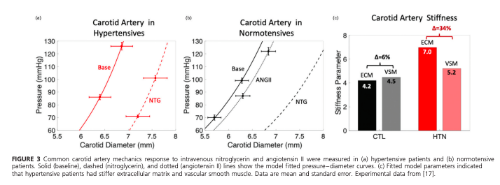 AdamGepner's tweet photo. New paper alert in @JHypertension!  
Fantastic work from @RPewowaruk! 

🚨#Vascular smooth muscle is important in elastic artery mechanics, #ArterialStiffness and #Hypertension! 
@uw_cvm + #engineering = 💪🧠 
@CheslerLab  @JamesStein18 

https://t.co/iYBizruFxZ https://t.co/j9kWEimsK3