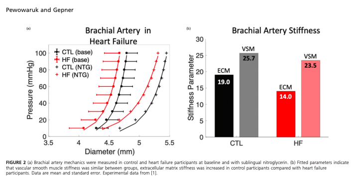 AdamGepner's tweet photo. New paper alert in @JHypertension!  
Fantastic work from @RPewowaruk! 

🚨#Vascular smooth muscle is important in elastic artery mechanics, #ArterialStiffness and #Hypertension! 
@uw_cvm + #engineering = 💪🧠 
@CheslerLab  @JamesStein18 

https://t.co/iYBizruFxZ https://t.co/j9kWEimsK3