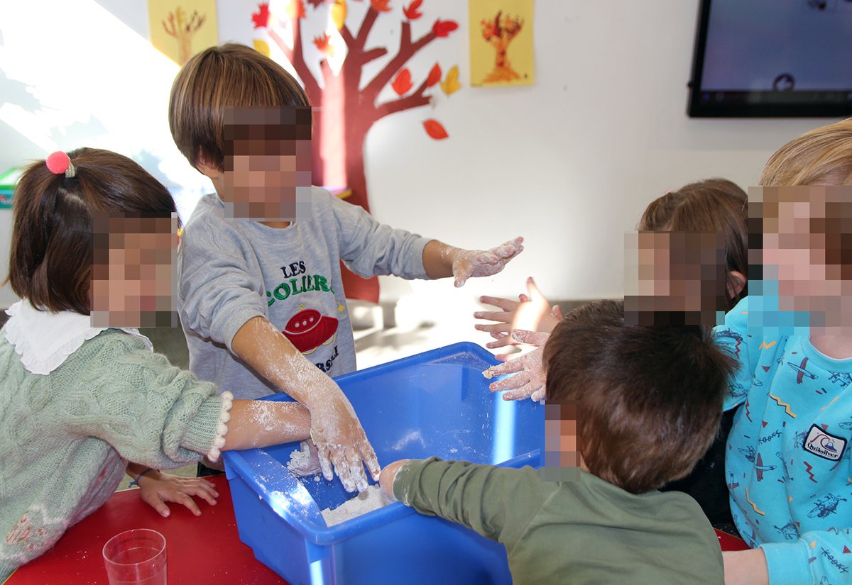 Liceo Europeo tweet media