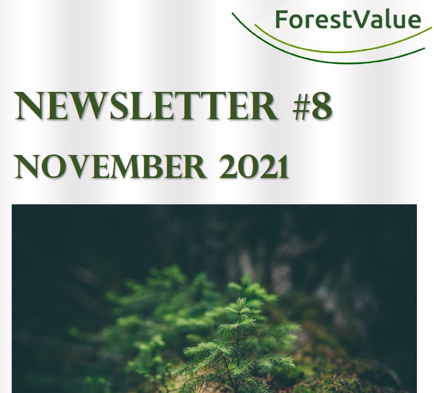 ForestValue2's tweet photo. #ForestValue Newsletter Issue 8 (Nov 2021) now online! As well as news about current actions of the research projects of ForestValue Joint Call 2017, the 8th issue features, for example, an article about ForestValue Joint Call 2021. Available here: https://t.co/gvP1mLuKdI https://t.co/cArMUSOZpp