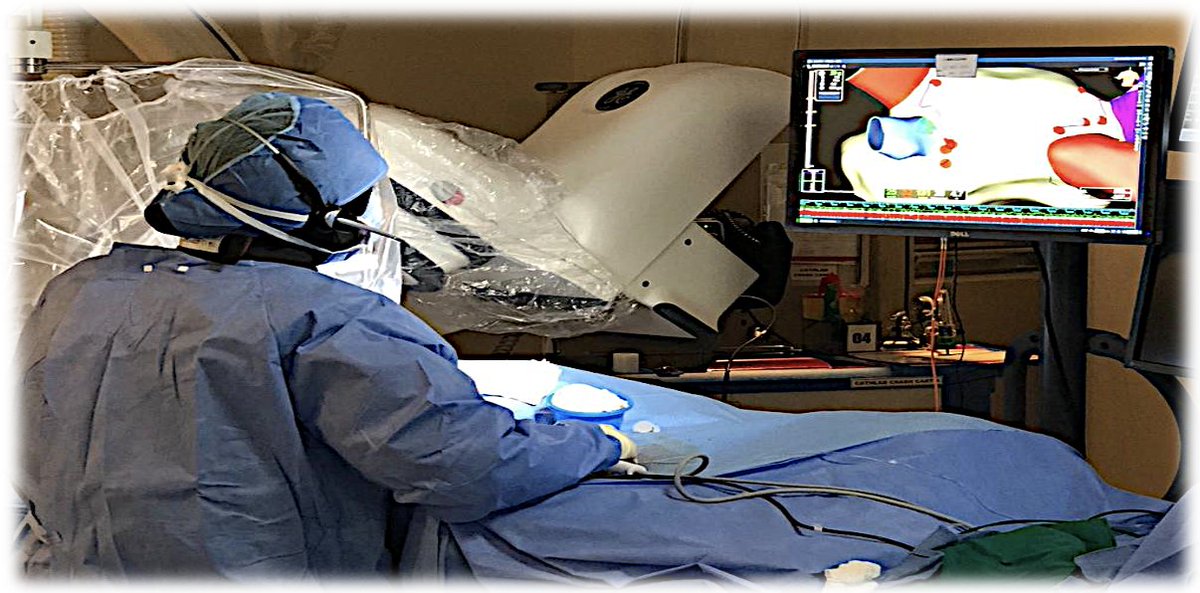 د. محمد المنصوري tweet media