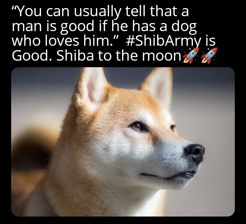 crypto2920's tweet photo. Come on #SHIBARMY... 
Go follow @WOOOFFFFFFFF 
🚀🚀🚀
#Shibburn https://t.co/0lvbOAMyEZ