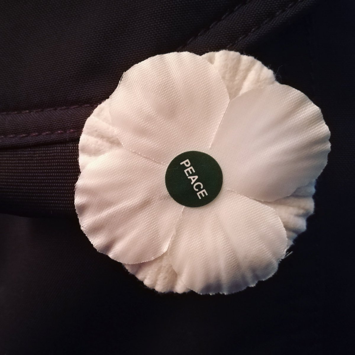 A poppy for peace
A poppy for all victims of all wars

#WhitePoppies
@PPUtoday