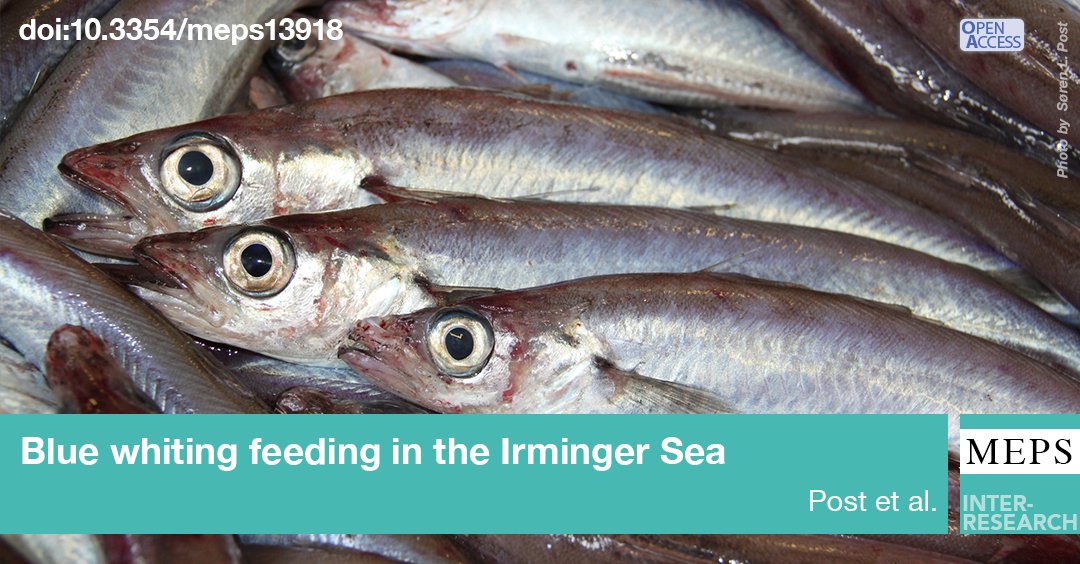 Marine Ecology Progress Series (MEPS) tweet media