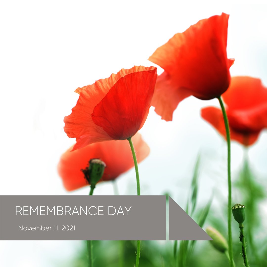 Lest we forget. Today, we honour the heroes who have given their lives in service of our country. 

Learn more about the sacrifices made by Canadian Veterans: veterans.gc.ca/eng/remembrance