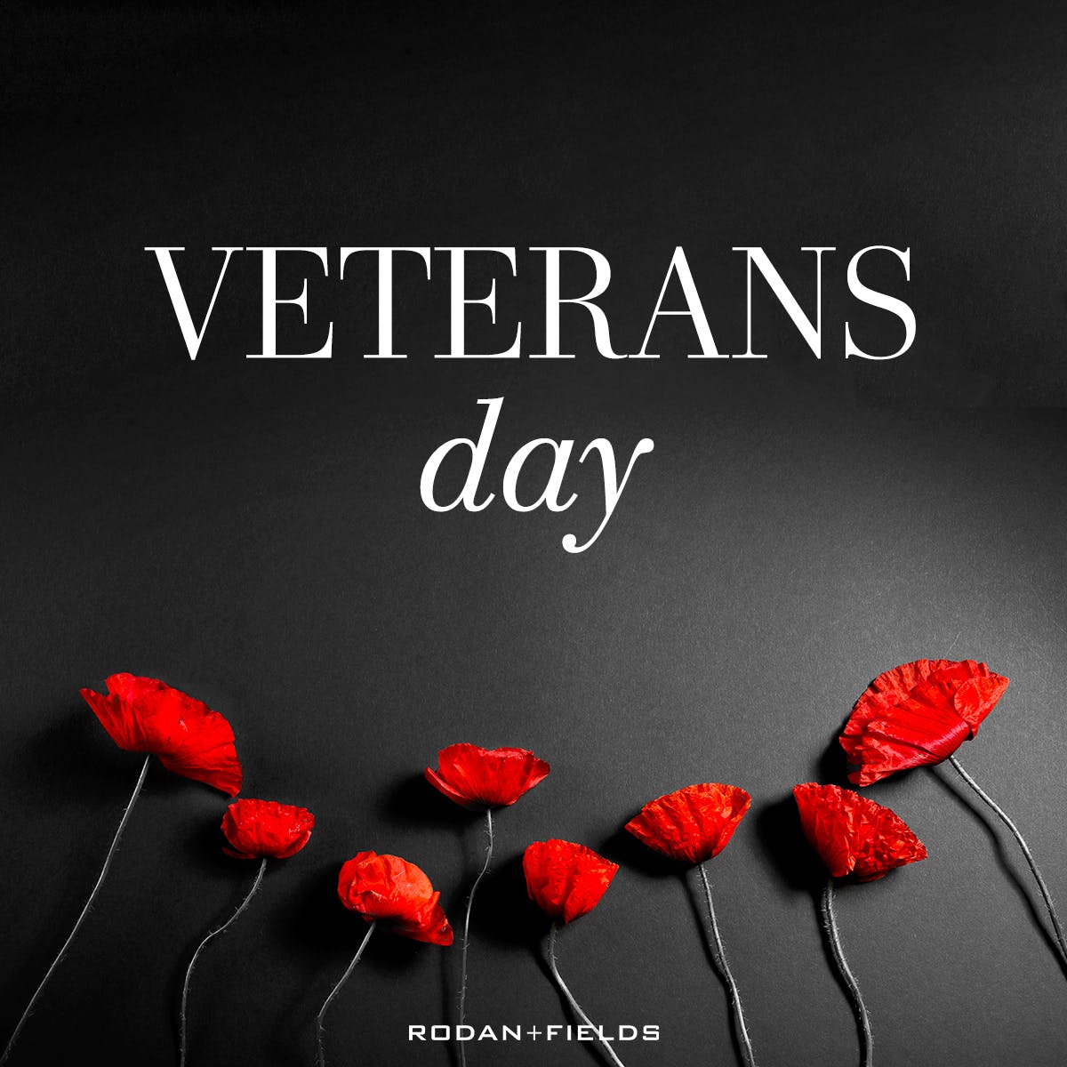 Today we honor those who served. Thank you to all those who have served and are serving. You are our true American heroes. #VeteransDay #Trueheroes #thankavet #fernrf  #rememberingvets #honoringvets