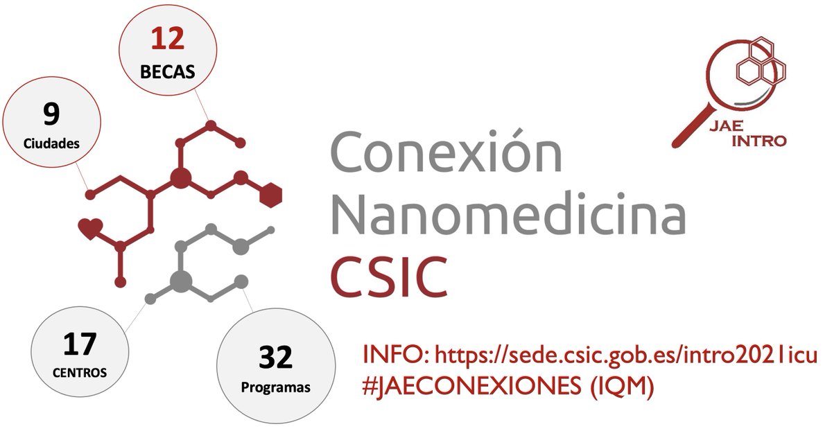 Oportunidad de 12 Becas dentro de la Red CONEXION NANOMEDICINA en distintos centros del CSIC