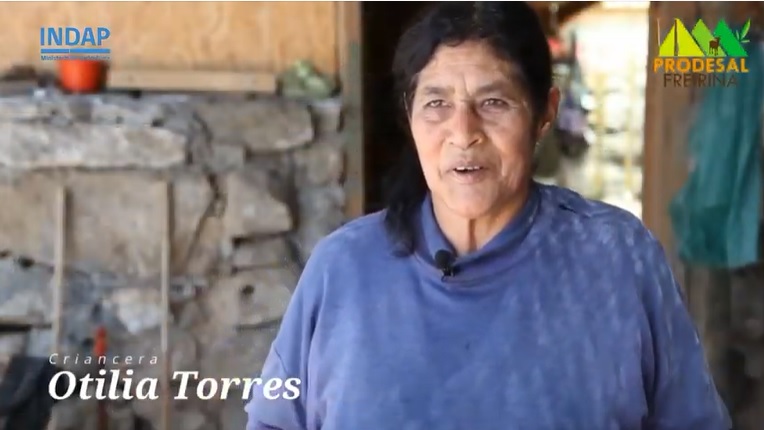 INDAP_Chile's tweet photo. Testimonios que emocionan: Otilia Torres, criancera y productora de queso de cabra, cuenta sus esperanzas para salir adelante en medio de la pobreza en Freirina, y con ella Carmen Castillo, coordinadora del equipo técnico de esa comuna de Atacama 
Aquí 👉 https://t.co/8N6lWiBykJ https://t.co/Lc8IfNfMqR