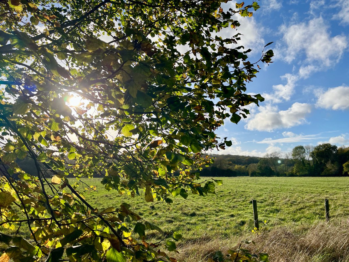 Today is Fyodor Dostoyevsky's 200th birthday. "Love all God’s creation, both the whole and every grain of sand. Love every leaf, every ray of light. Love the animals, love the plants, love each separate thing. If thou love each thing thou wilt perceive the mystery of God in all."