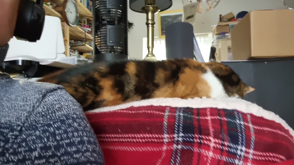 JoelAKerry1981's tweet photo. @EmilyHHurt Ditto with Bronte who's in a dreamies coma #ICLCLite21 #conferencepets https://t.co/bv2Z4Eq3D0