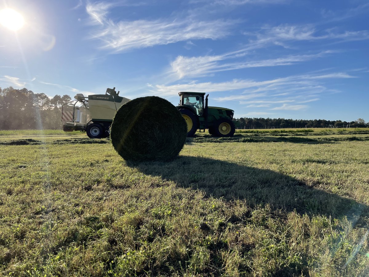 DrJJTuga's tweet photo. Shauni Nichols and the Beef Forage Team doing work yesterday on our last baleage cut of the year!  Thanks to @KroneAmerica and @USDA_NIFA  for supporting our research efforts as we continue to develop BMPs for #AlfalfaBermudagrass Mixtures!  #UGABeef #GAForages #NiftyTifty https://t.co/mYUKRlDkHi