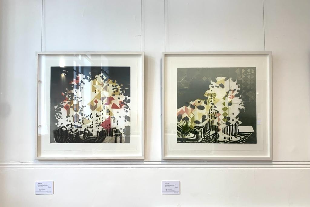 brixtonlibrary's tweet photo. Artist Printmaker Katherine Jones': 'The Iron in the Earth' @brixtonlibrary 11-24 November. PV today 5-8pm #brixtonartist #brixtonart #lambethlibraries #artinpubliclibraries #natureinart #contemporaryartist #printmaking https://t.co/nlxQnopwrG