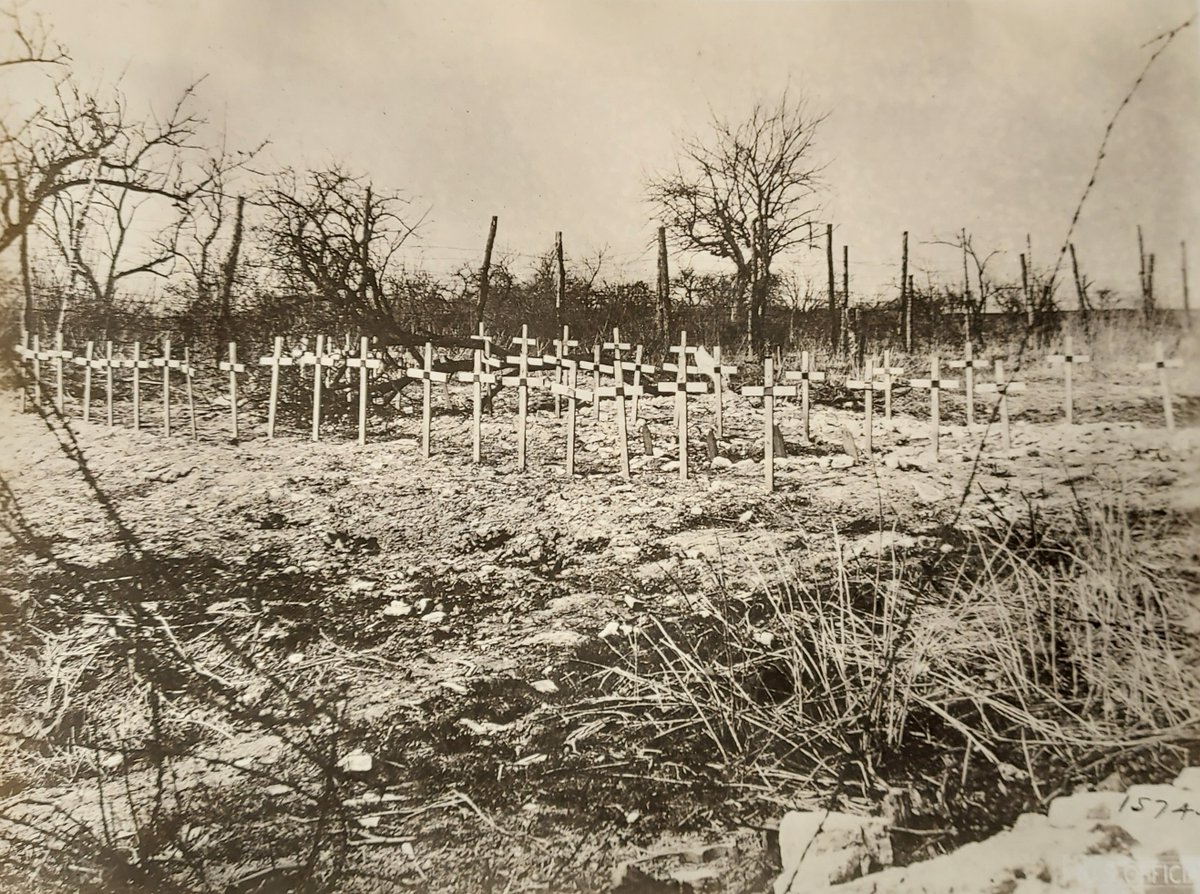 MelissasLibrary's tweet photo. In Flanders fields the poppies blow
Between the crosses, row on row,
That mark our place; and in the sky
The larks, still bravely singing, fly
Scarce heard amid the guns below. https://t.co/CauyEjAEoo
