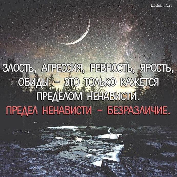 Высказывания про детскую агрессию. Цитаты про агрессию. Агрессия в природе. Агрессия цитаты. Цитаты про агрессию.
