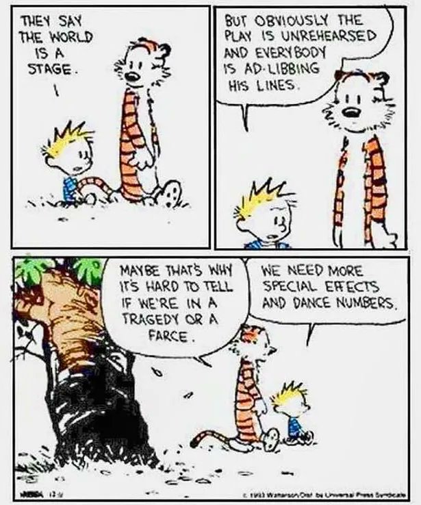 Calvinn_Hobbes's tweet image. 😂😂 #CalvinandHobbes
