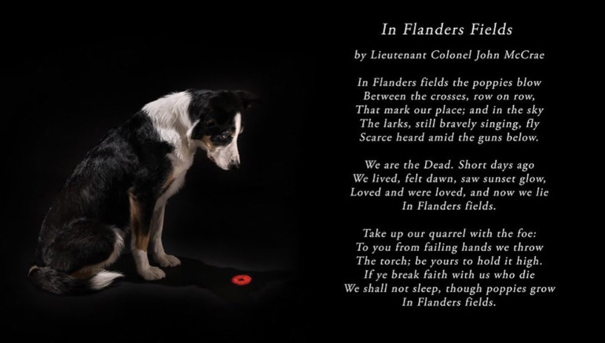 GPFGeorgetown's tweet image. 