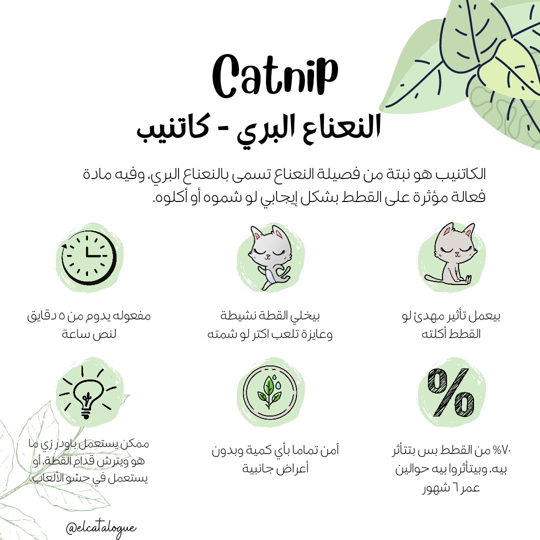 elCATalogue's tweet photo. الكاتنيب نبات بيخلي مزاج القطط أحلى وبيقلل التوتر، هتلاقوه موجود في محلات مستلزمات الحيوانات في شكل نبات مجفف أو بخاخ. اعرفوا عنه أكتر هنا ⬇️
#elcatalogue #CatsOfTwitter #AdoptDontShop #catnip https://t.co/UXKwymB7ic