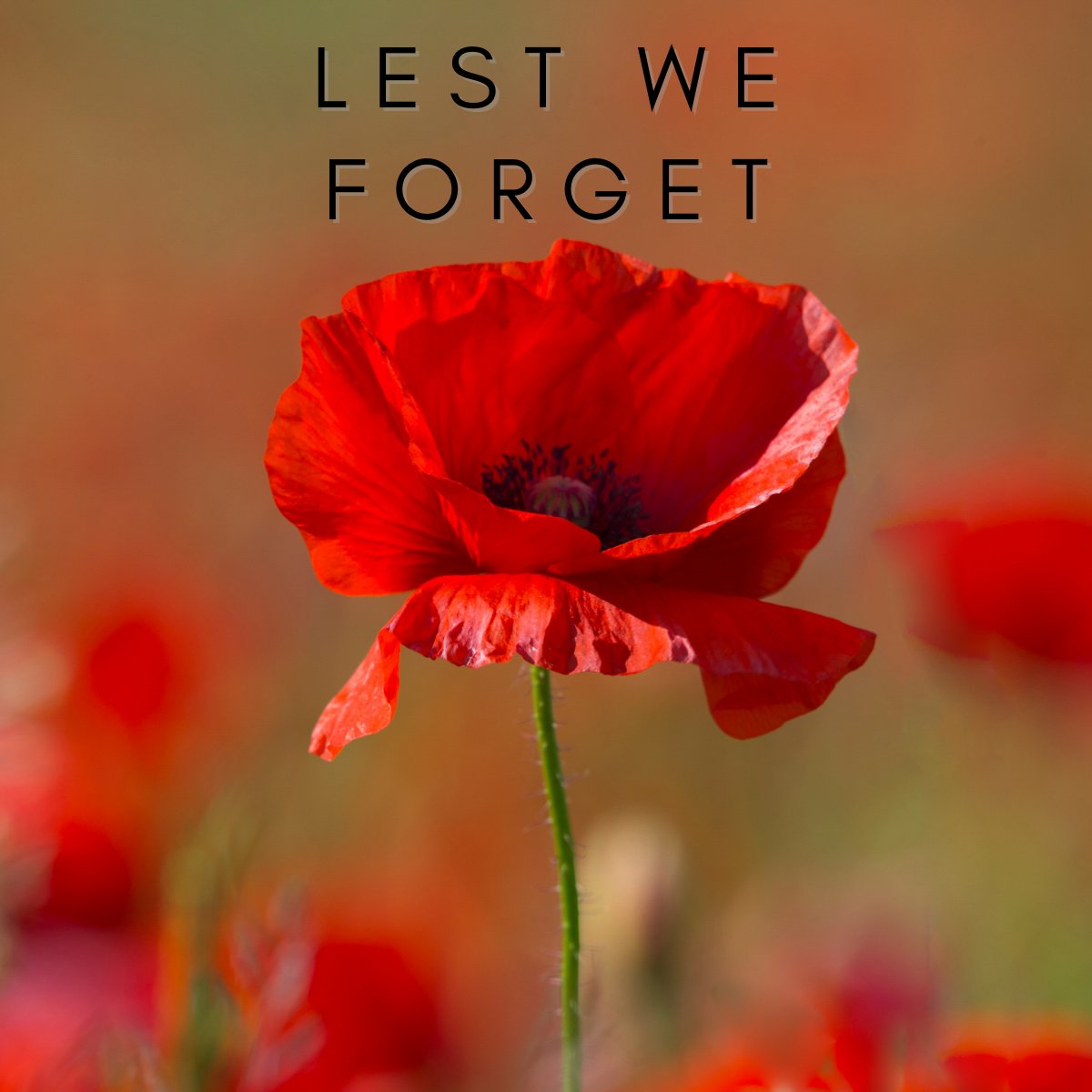 ip_fusion's tweet photo. Today we honor the sacrifices of over a million brave men and women who have served, and the 110,000 who have given their lives.
#remembranceday #veterans #neverforgotten https://t.co/Vm1F2efXkz