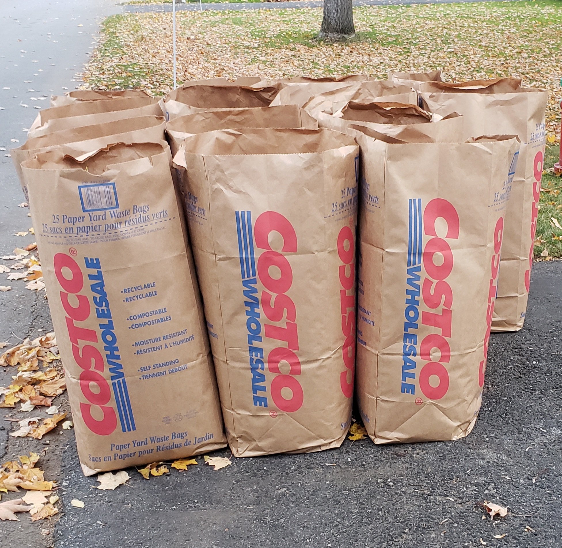 Costco Paper Yard Waste Bags 10-Count Duro Lawn and Leaf Bag Bundle  30-gallon
