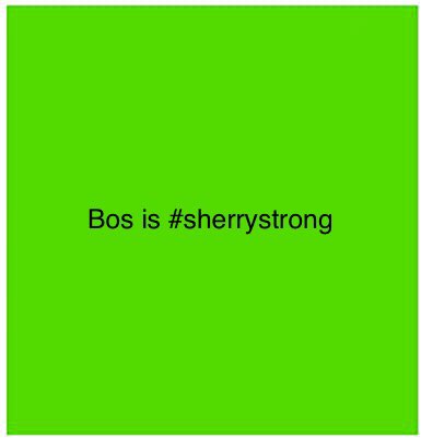1995Pioneer's tweet photo. We have spirit, yes we do! We have spirit, how ‘bout you? #bospride #bosworldhistory #livingalegacy #bos60yearsstrong https://t.co/BVgOcigf17