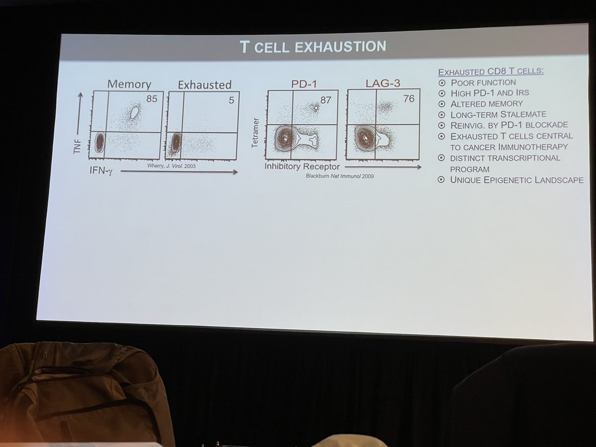 John Wherry <a href="/PennMEHP/">UPenn Medical Ethics & Health Policy</a> describes new understanding of T cell exhaustion biology and anti-PD1 therapy - great insight <a href="/sitcancer/">Society for Immunotherapy of Cancer</a> #SITC21 #SITC #sitc