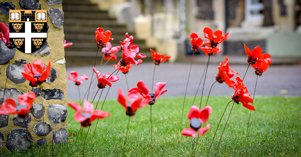 DoverCollege's tweet photo. They shall grow not old, as we that are left grow old:
Age shall not weary them, nor the years condemn.
At the going down of the sun and in the morning
We will remember them. https://t.co/RALhJ9swVN