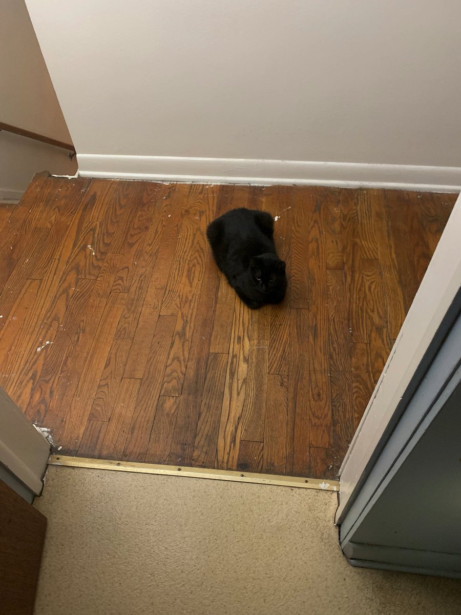 softghostbaby's tweet photo. I come out the shower to this this burnt loaf of bread https://t.co/f0gM2es3wI