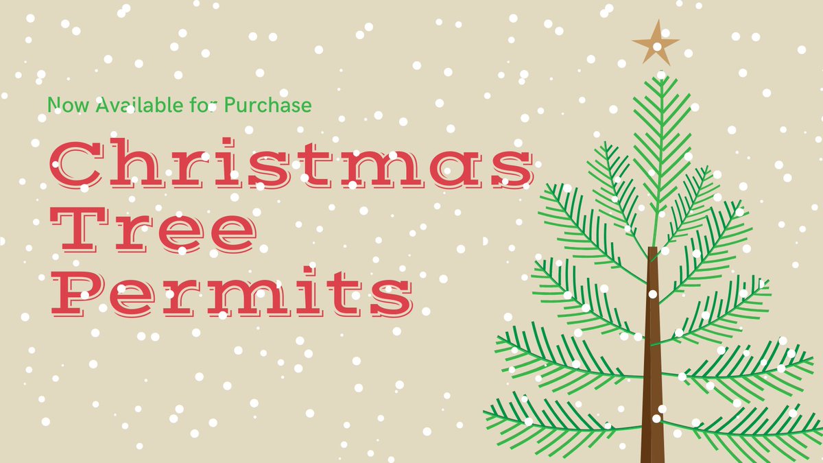 CabinsatBRL's tweet photo. #WINTER is in the air as the holiday season gets nearer! Not much #snow on the ground, but we're expecting a light snowfall this afternoon. Come bundled up for a fun day of riding!
#ChristmasTree permits are now available in our store! $20, or $21 when using a credit card. https://t.co/m9t7qyb1Oh