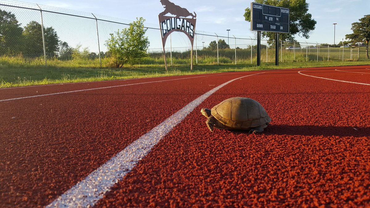LIBERTYTF's tweet photo. Off-season track conditioning begins Monday, Nov. 15th in the Commons at 3:30. See you there! https://t.co/7UIXH21frD