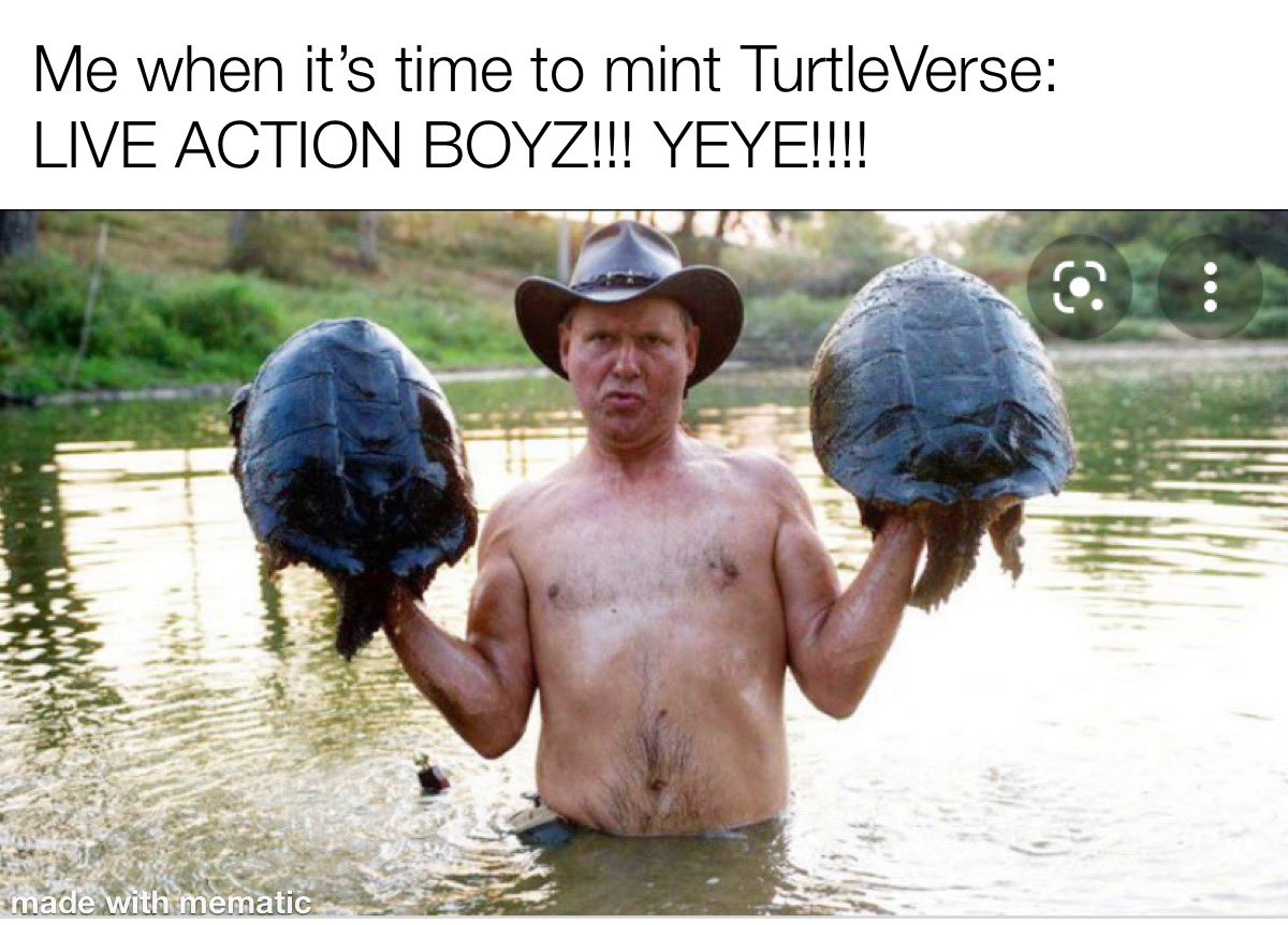 LeidolfQuinn's tweet photo. #TurtleVerseMemes @TurtleVerseNFT https://t.co/YQ3JYWeL4V