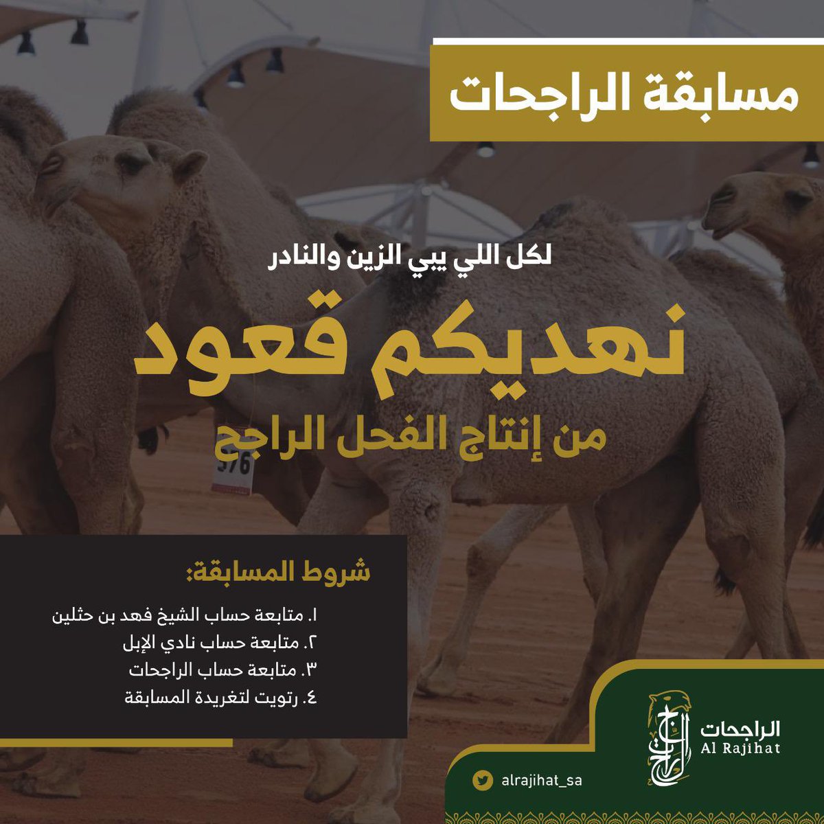 الراجحات (@alrajihat_sa) on Twitter photo تعزيزاً لدعم الموروث نطلق #مسابقة_الراجحات والجائزة قعود من الفحل الراجح "سلالة الباتلي"
كل اللي عليك متابعة حساب الراجحات
وحساب نادي الإبل <a href="/CamelClub/">نادي الإبل</a>
والشيخ فهد بن حثلين <a href="/F_BinHithleen/">فهد بن حثلين</a>
ورتويت للتغريدة وتدخل معنا السحب على القعود 🐪 تعزيزاً لدعم الموروث نطلق #مسابقة_الراجحات والجائزة قعود من الفحل الراجح "سلالة الباتلي"
كل اللي عليك متابعة حساب الراجحات
وحساب نادي الإبل <a href="/CamelClub/">نادي الإبل</a>
والشيخ فهد بن حثلين <a href="/F_BinHithleen/">فهد بن حثلين</a>
ورتويت للتغريدة وتدخل معنا السحب على القعود 🐪