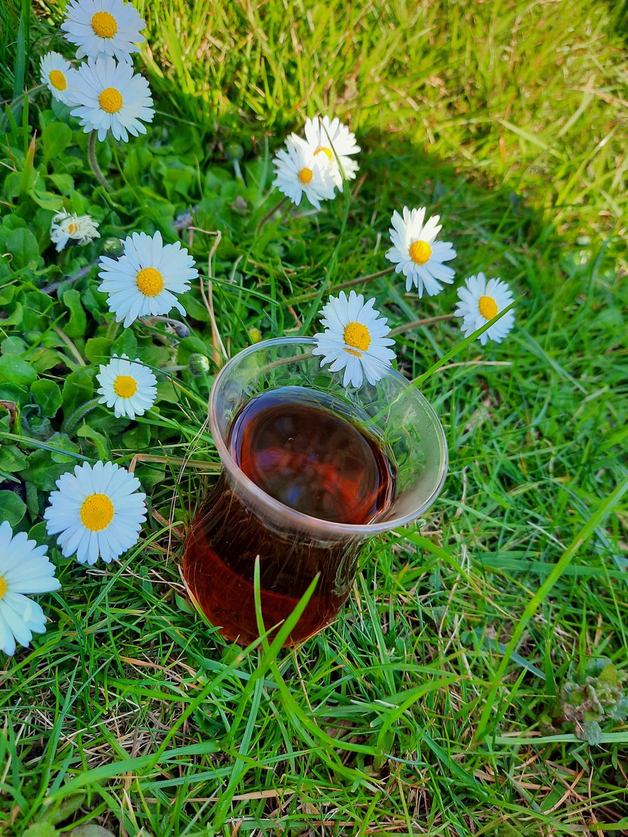 Güzel kız mutluluğun kimsenin elinde değil.
Gülümse 🥰
Çay sıcak☕
 Papatyalar güzel🌼
 Sen özel💫