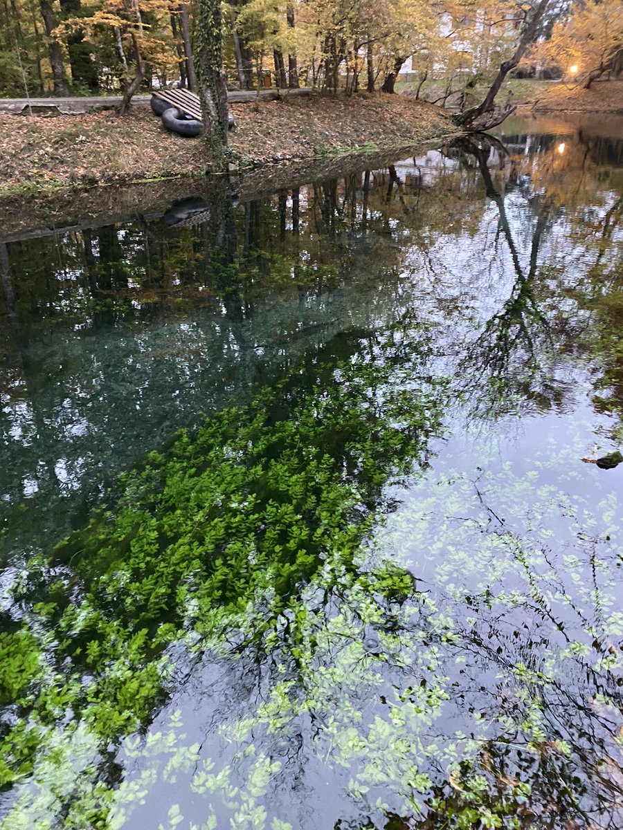 NailaVekilova's tweet photo. Have had a couple of days in the silence at one of the most beautiful places of my homeland
#Nabran #Azerbaijan #photo #nature #autumn https://t.co/774TwyM2mY