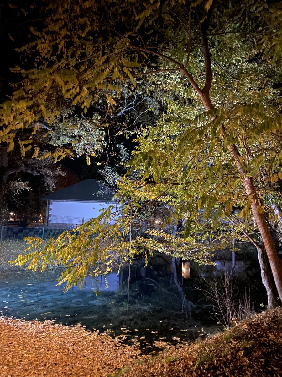 NailaVekilova's tweet photo. Have had a couple of days in the silence at one of the most beautiful places of my homeland
#Nabran #Azerbaijan #photo #nature #autumn https://t.co/774TwyM2mY