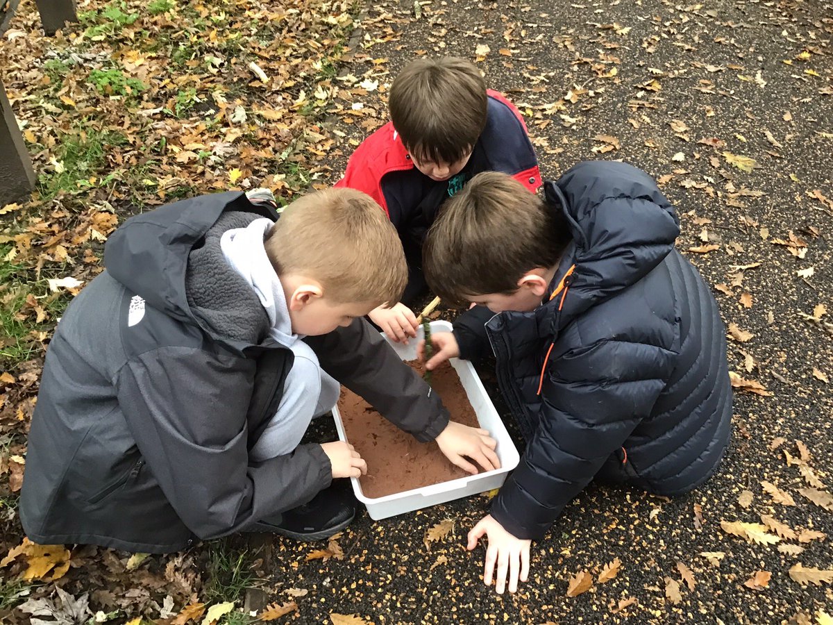 StAnnesKnowsley's tweet photo. Thank you to the Knowsley Rangers for teaching Year Six about wetlands on their visit to Court Hey Park today @KnowsleyParks #SacpskScience #SacpskGeography #SacpskYearSix https://t.co/6K6nDh3wz8