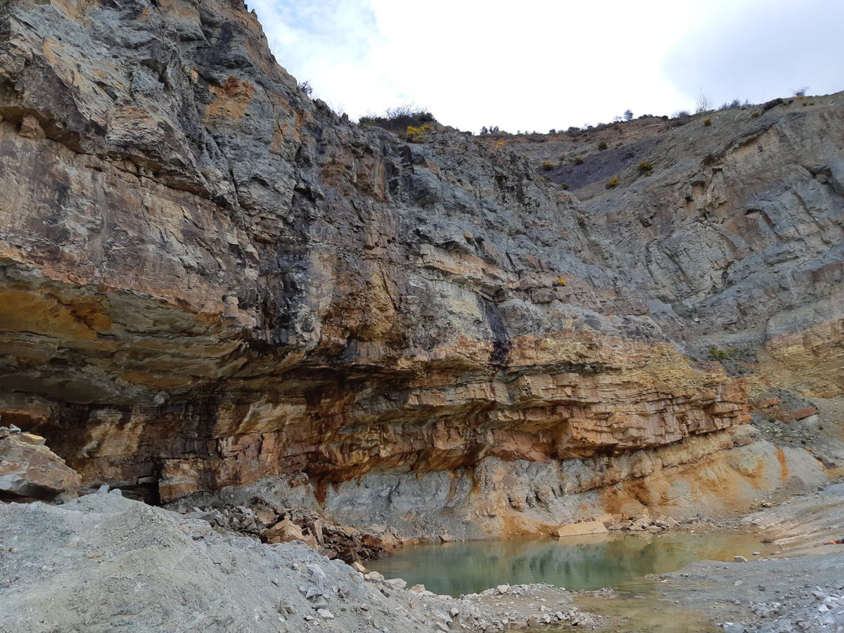 Ruben_ICOG's tweet photo. Estamos en la #SemanaDeLaCiencia 2021🔬📚
Un reconocimiento a tod@s l@s geolog@s y paleontolog@s que cada día trabajan por las Ciencias #Geologicas y su puesta en valor de cara a la Sociedad y a las Instituciones👏👏
#geologia https://t.co/znPyWPhmMT