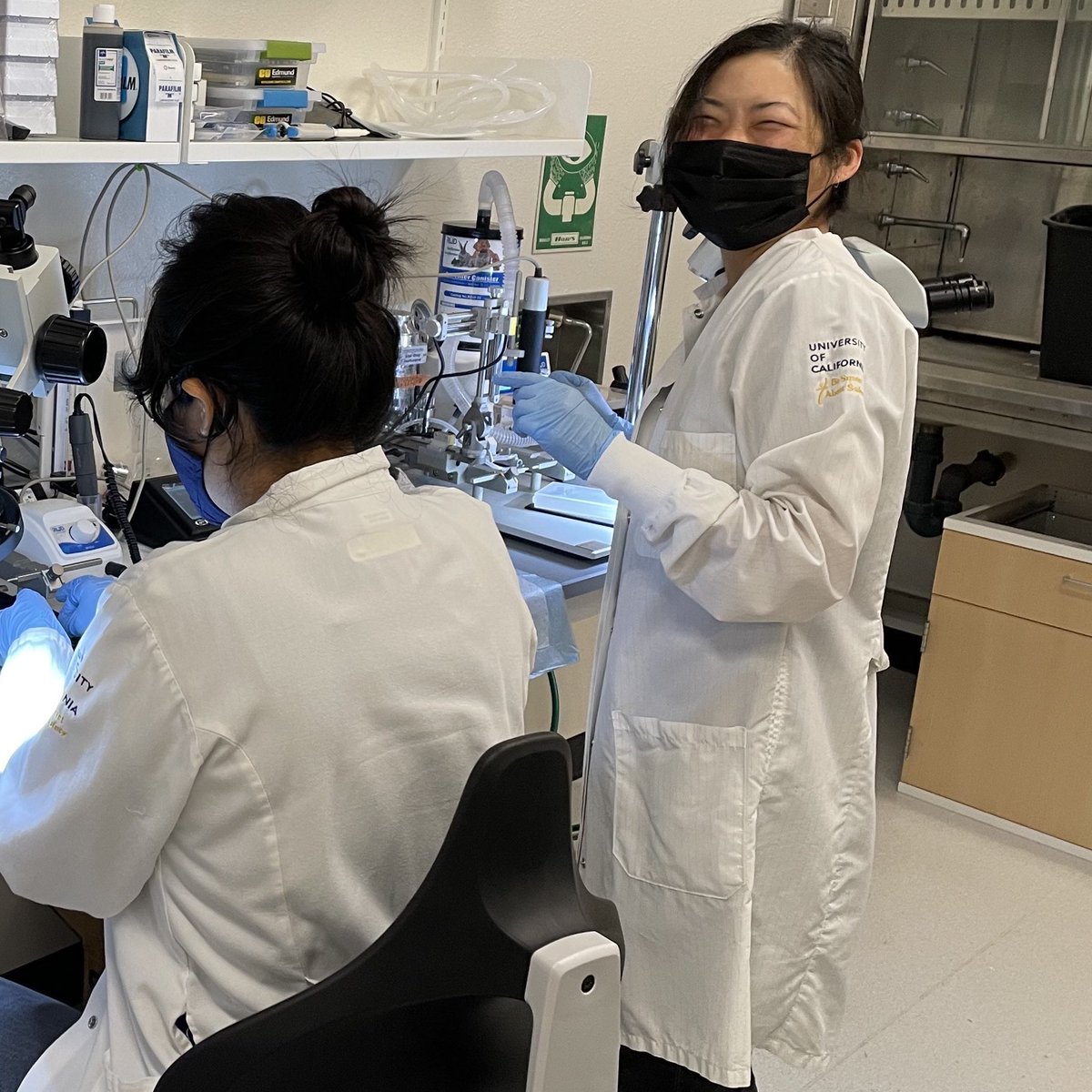 I spend a lot of time as a #newPI being like—Where can I get a trash can? Who supplies the paper towels? Oh, I have to buy the soap…cool—but trainees like <a href="/LatinaNeuroNerd/">Maribel Anguiano</a> make it WORTH IT! We did our lab’s first surgeries yesterday and she was🔥 This job has its moments ;)