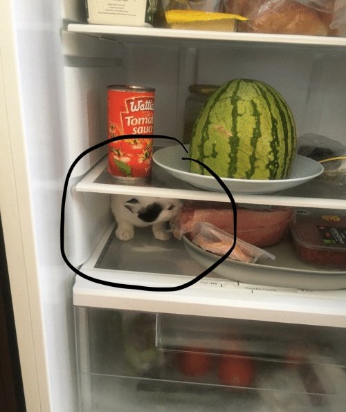 Kenblazed's tweet photo. #WhatNotToKeepInYourFridge.. https://t.co/5zKZ1ZrqvN