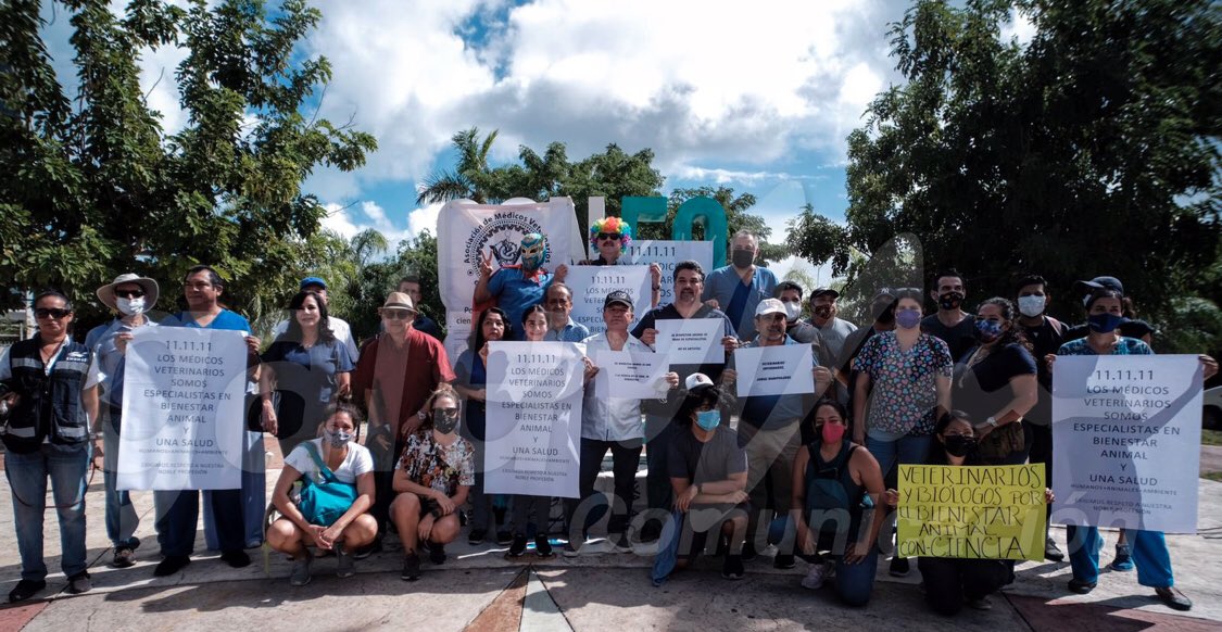 Femeti's tweet photo. RT @azcarmx: En Guadalajara, Puebla, Sinaloa, Cancún, Ciudad de México los especialistas en vida silvestre protestaron por un #BienestaranimalConCiencia No mas legislaciones irresponsables que ponen en riesgo a las especies y a nuestra biodiversidad. Los… https://t.co/5Y1ty8l0zY