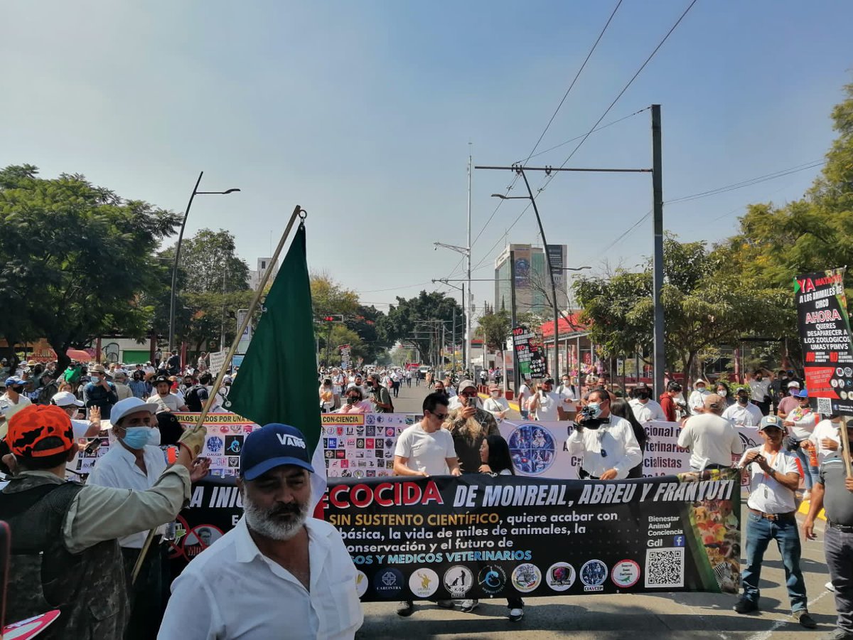 Femeti's tweet photo. RT @azcarmx: En Guadalajara, Puebla, Sinaloa, Cancún, Ciudad de México los especialistas en vida silvestre protestaron por un #BienestaranimalConCiencia No mas legislaciones irresponsables que ponen en riesgo a las especies y a nuestra biodiversidad. Los… https://t.co/5Y1ty8l0zY