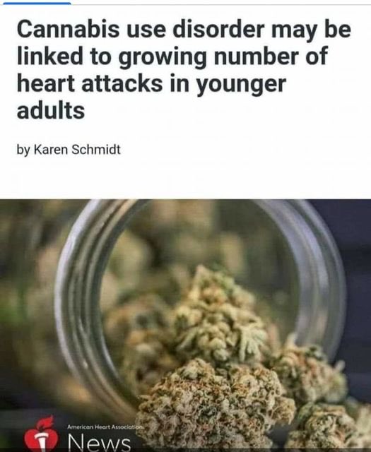 Clown World Today tweet media