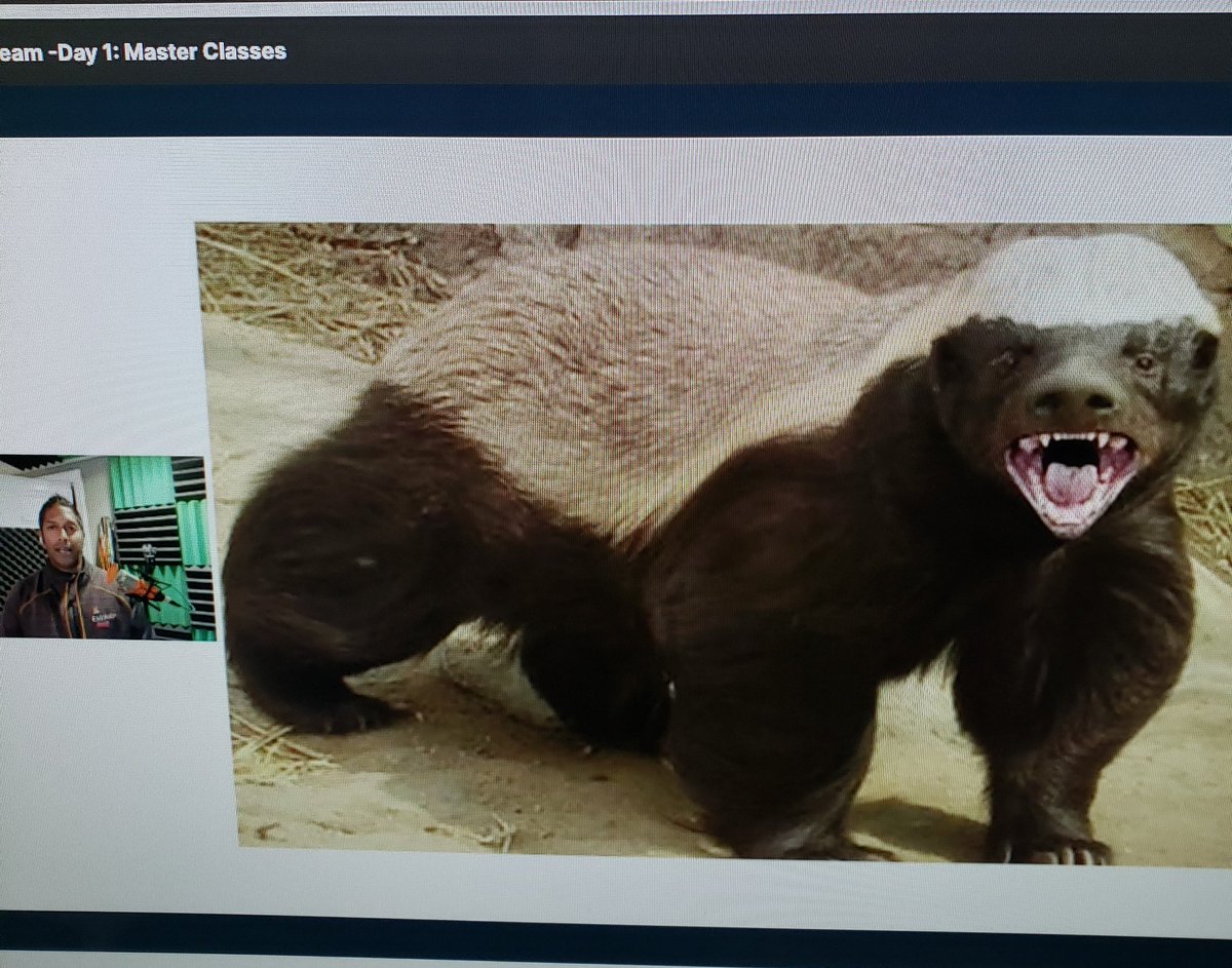 Naomi Macrae MD (@nowmi_mac) on Twitter photo We need more honey badger references in emergency medicine. Thank you for simpliflying transvenous pacer placement. <a href="/EMSwami/">Anand Swaminathan MD MPH 🏳️🌈🇺🇦</a> <a href="/EMCases/">Anton Helman</a> #EMCSum21 We need more honey badger references in emergency medicine. Thank you for simpliflying transvenous pacer placement. <a href="/EMSwami/">Anand Swaminathan MD MPH 🏳️🌈🇺🇦</a> <a href="/EMCases/">Anton Helman</a> #EMCSum21