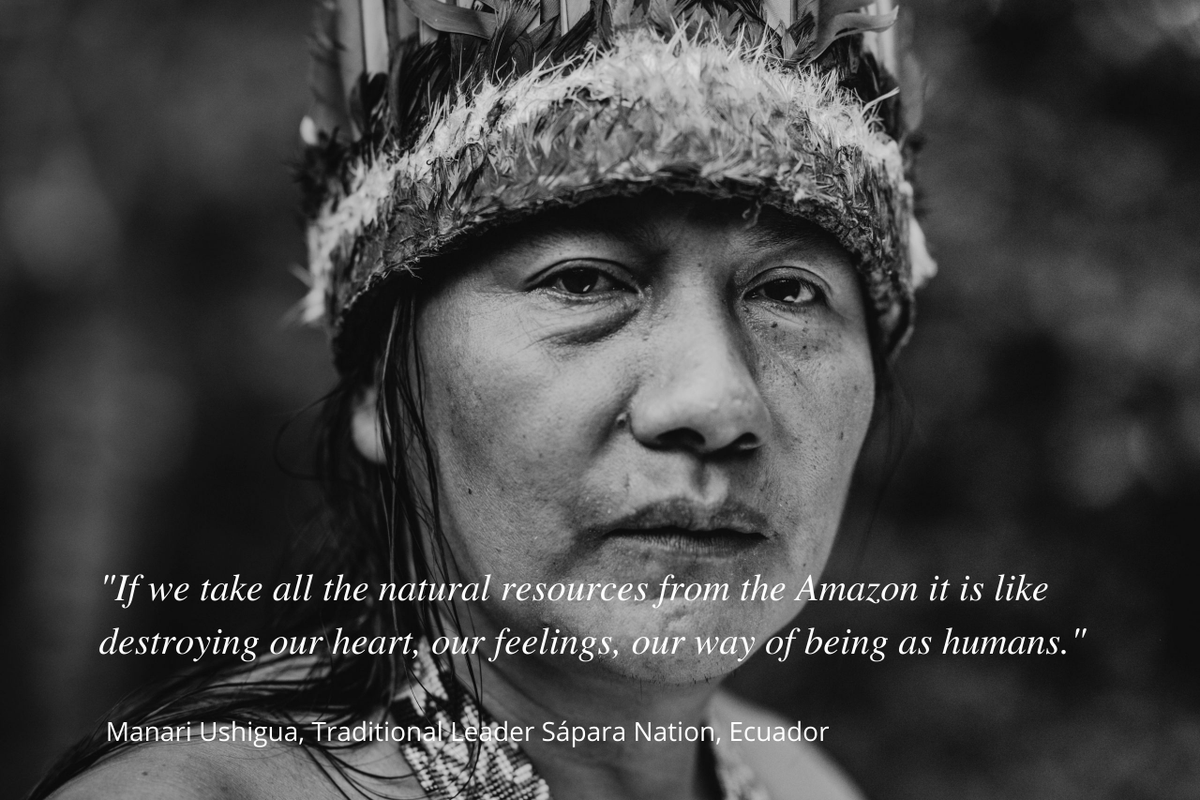 magnitudefilm's tweet photo. The Magnitude of All Things livestream tonight 10pm GMT, 5pm EST, 2pm PST! Online Screening tickets are available here via Eventbrite https://t.co/3UP3tlUl6t

#environment #climateactivism #COP26 #nature #GretaThunberg #climategrief https://t.co/pTf3qtL8WI