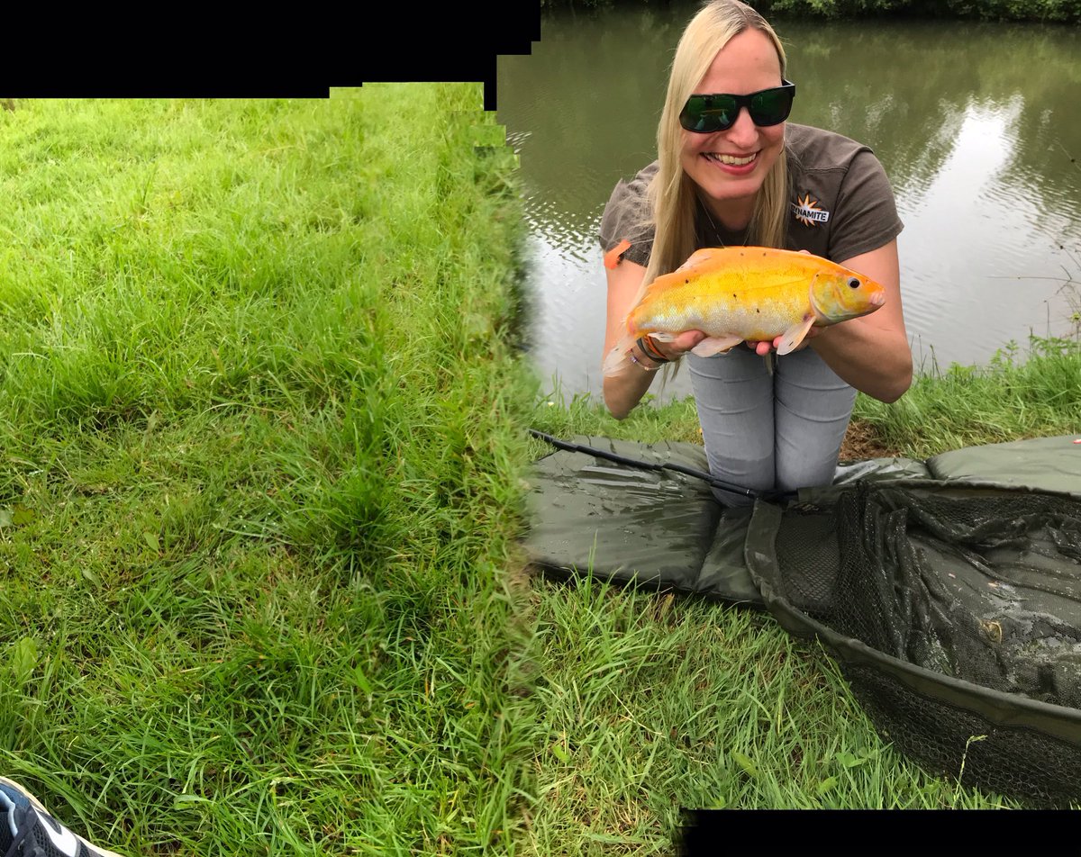 BeZenGoFishing's tweet photo. Anyone else ever regretted asking a friend to take a picture for them and you look back and think 🤔 🤦‍♀️🙄😂😜?!!

#picturesgonewrong #ohdear #bezengofishing #GetFishing #shakespearefishing #dynamitebaits #GoCatch #AnglersParadise #anglingtrust https://t.co/8sl6jwypkB