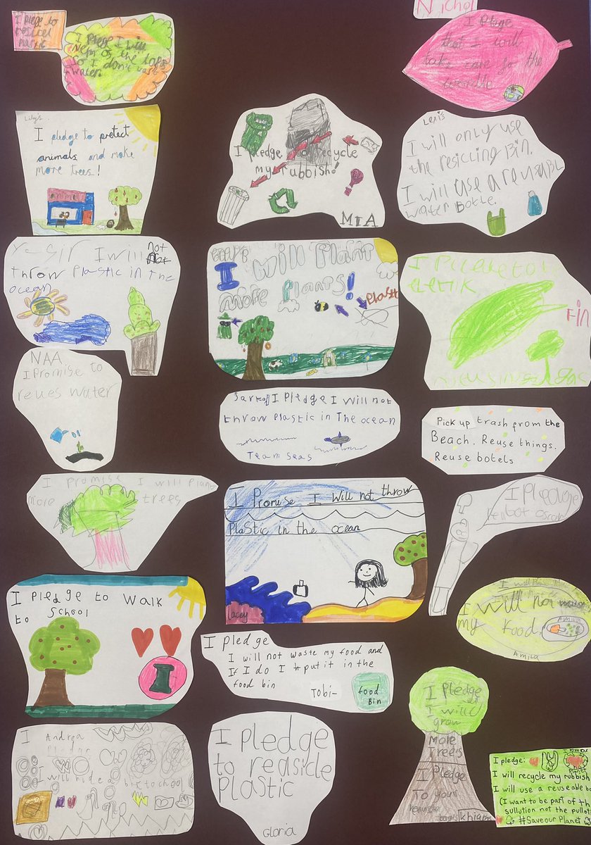 TerraceRoad's tweet photo. #TRPMacaws have made some climate pledges ♻️ 🌎 #TRPEco https://t.co/z7pVwMip4X