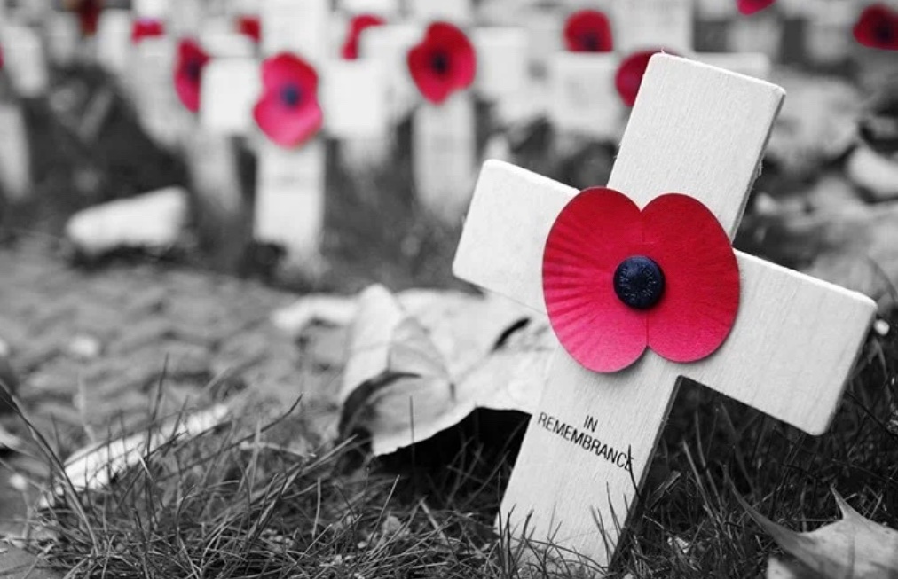 wimbledndentist's tweet photo. Lest We Forget. #RemembranceDay2021 https://t.co/spOo8zfOLI