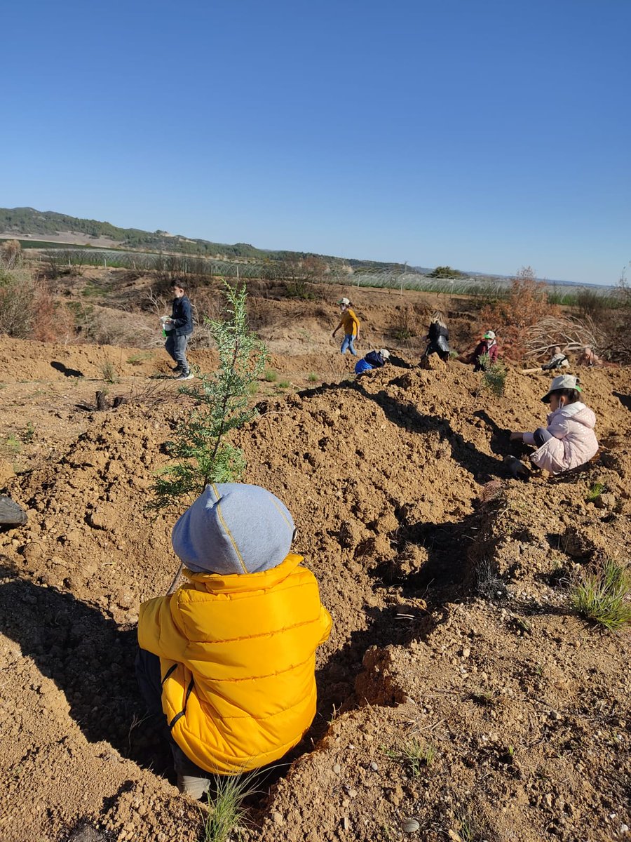 Dünya Ağaçlandırma Günü Geleceğe Nefes Yol Etkinliğinde Adana Kız Yurdu olarak bizde görev aldık.
#GelecegeNefesOl
#DünyaAgaclandırmaGünü
<a href="/tdvyurtlar/">Türkiye Diyanet Vakfı Yurtları</a> 
<a href="/DiyanetVakfi/">Türkiye Diyanet Vakfı</a> 
<a href="/tdvmedya/">TDV Medya</a> 
<a href="/tdv_gonulluluk/">TDV Gönüllülük</a>
