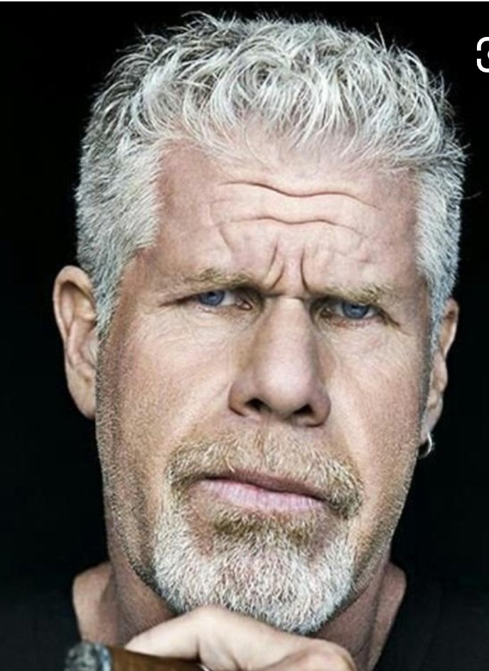 ...if <a href="/perlmutations/">Ron Perlman</a> was...a snow covered car??