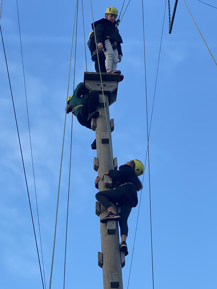 HarpAcademy1's tweet photo. Friendship and trust on top of the high ropes! #fellowshipafloat #pe https://t.co/RVt9HPCe0G